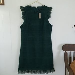 J. Crew Dress